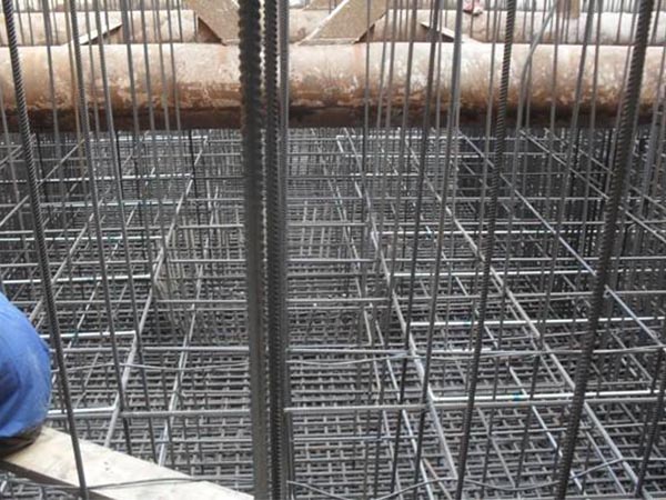 承台樱花草日本在线视频播放