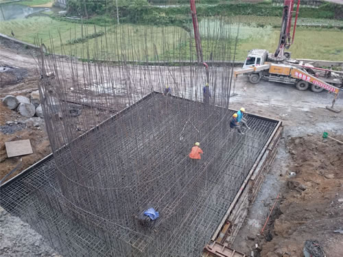 承台樱花草日本在线视频播放