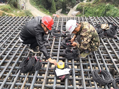 樱花草日本在线视频播放