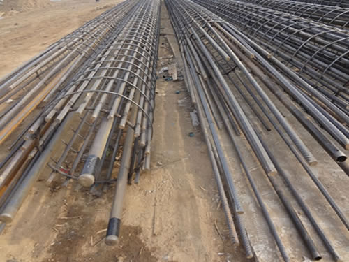 桩基樱花草视频在线观看完整版2