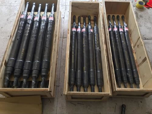 樱花草免费观看高清视频日本