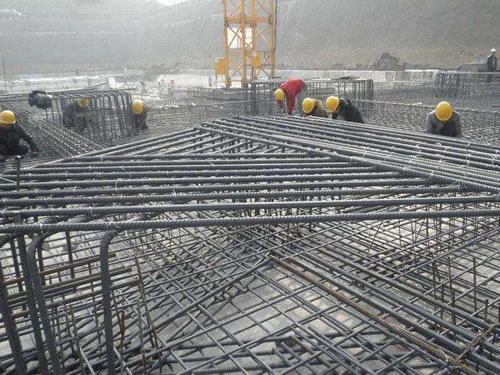 承台樱花草日本在线视频播放